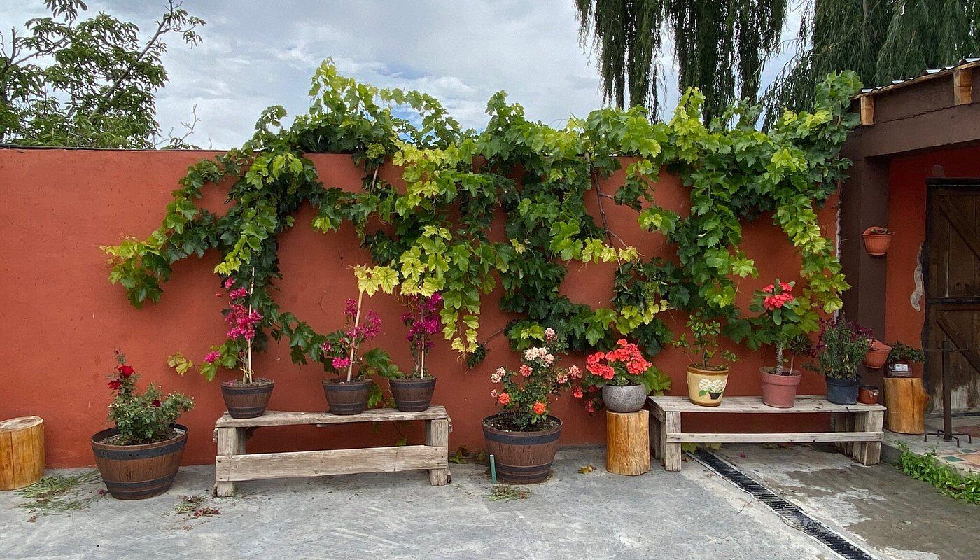 Patio con flores de Doña Inés, Cocina Artesanal