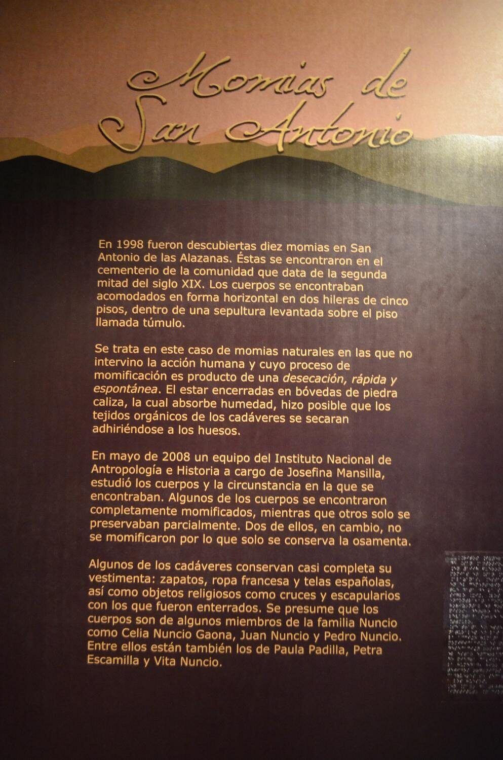 Cédula sobre el hallazgo de las momias