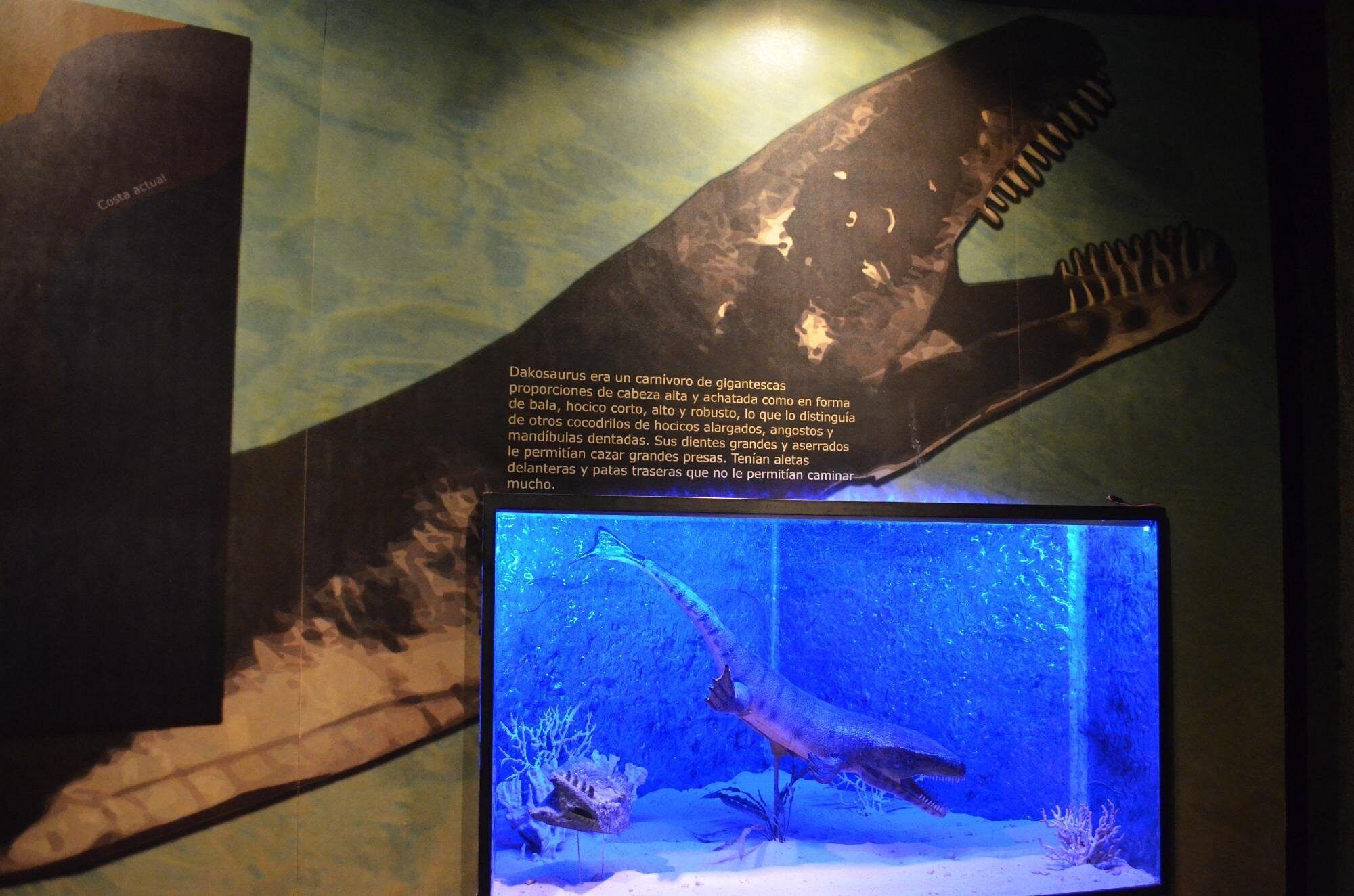Sala de exhibición del museo