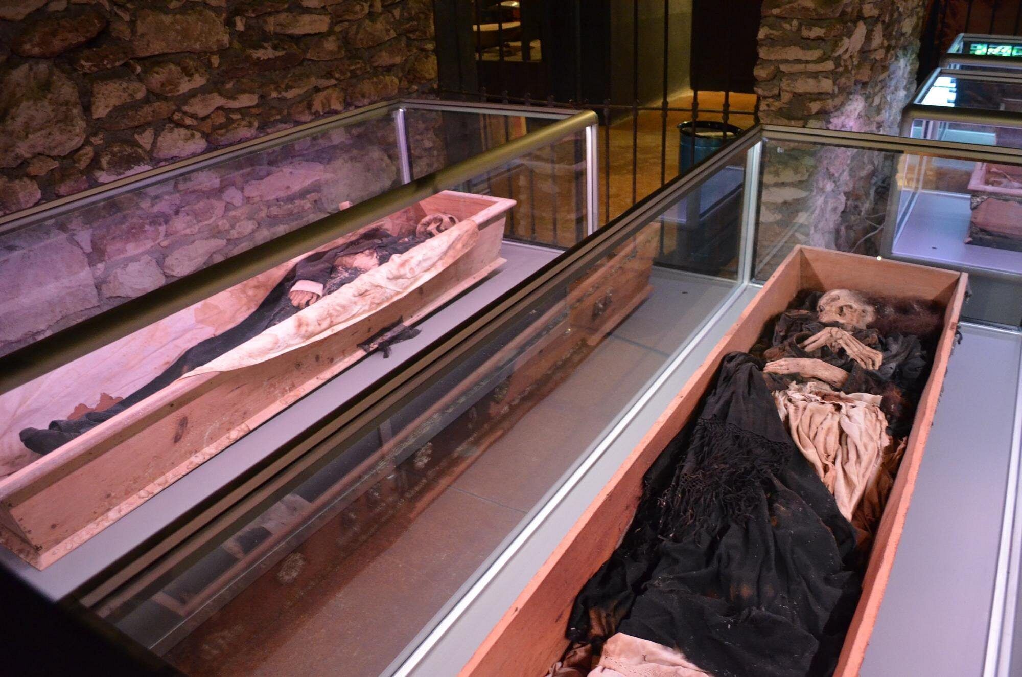Vitrinas con cuerpos momificados en el Museo de las Momias