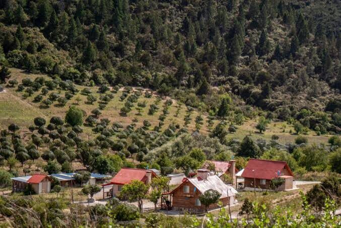 Casas del pueblo rodeadas de huertas en la ladera